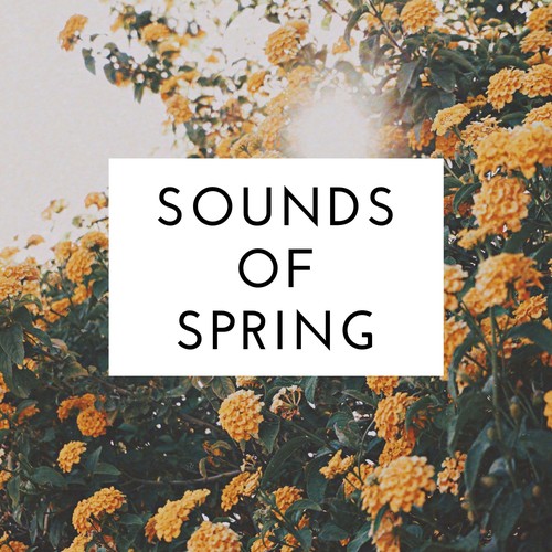 Sounds of Spring Radio - Listen to Uncle Feaster, Free on Pandora ...