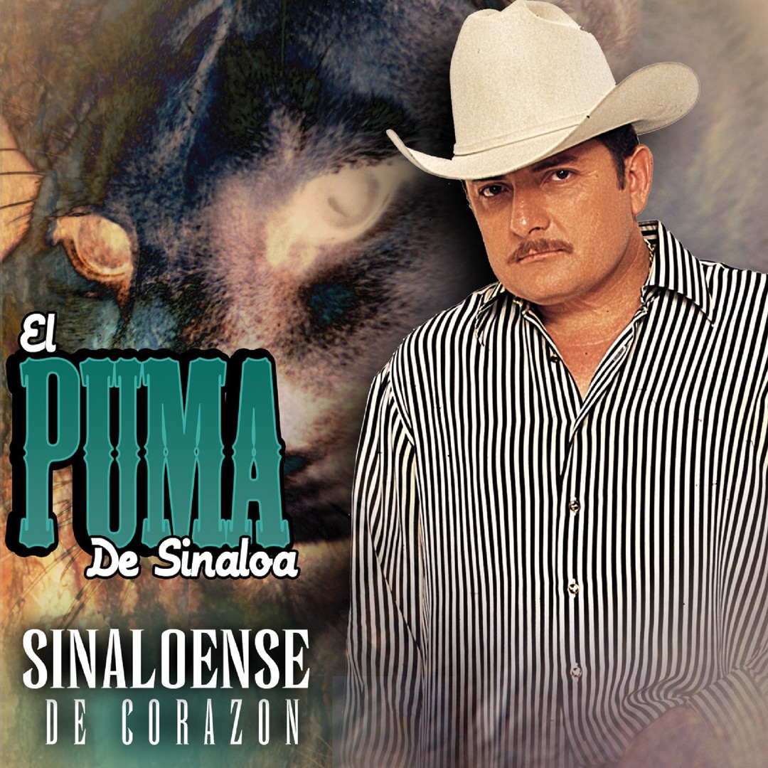 el navegante con el puma de sinaloa