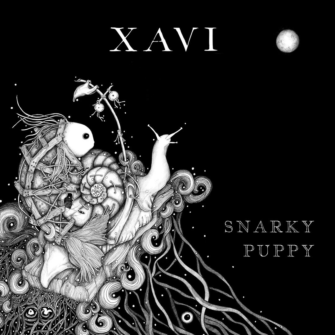 Listen To Snarky Puppy Pandora Music Radio