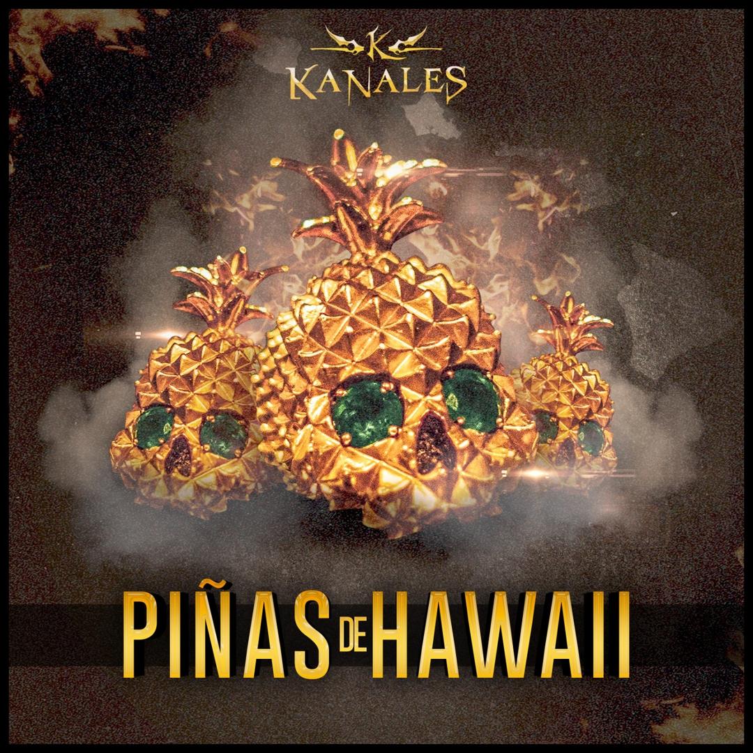 La Pua De Los Alambres By Kanales Pandora Trata de no ser lo que odias cada quien con cada cuanto y que rechine la carreta peleamos entre familia pero morimos por ella •afinartemusic. la pua de los alambres by kanales pandora